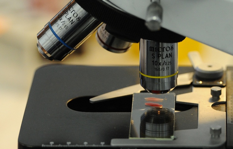 Во многих странах выявили  первые случаи заражения вирусом Зика